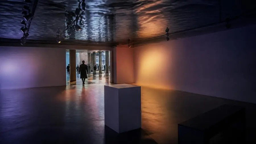 Palazzo Grassi, galería en Venecia