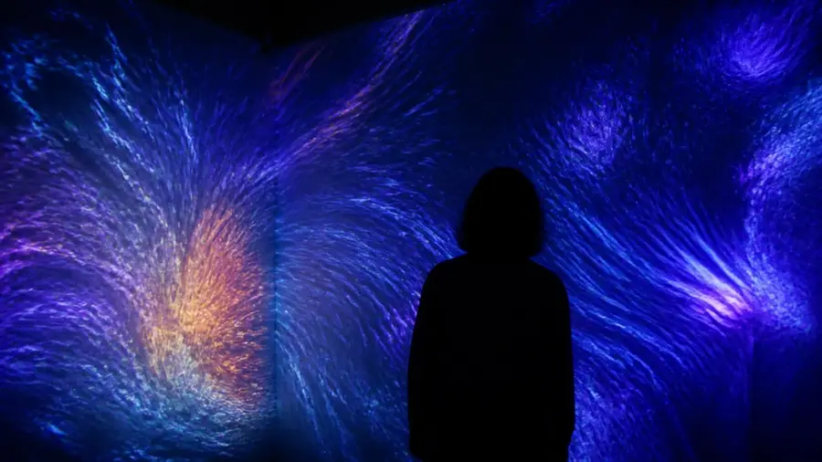 La exposición inmersiva: espectáculo, arte o ambas cosas
